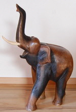 elefanten1